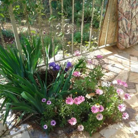 Hébergement de vacances House Maslinica