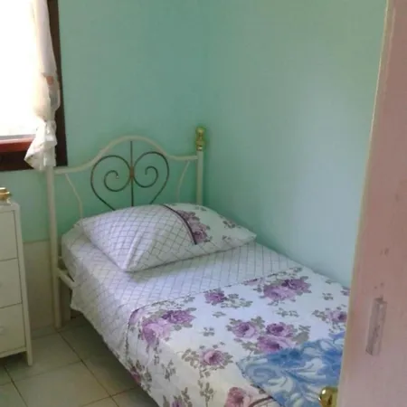 House * Maslinica