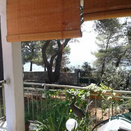 House * Maslinica