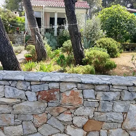 House Maslinica