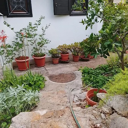 Ferienhaus House