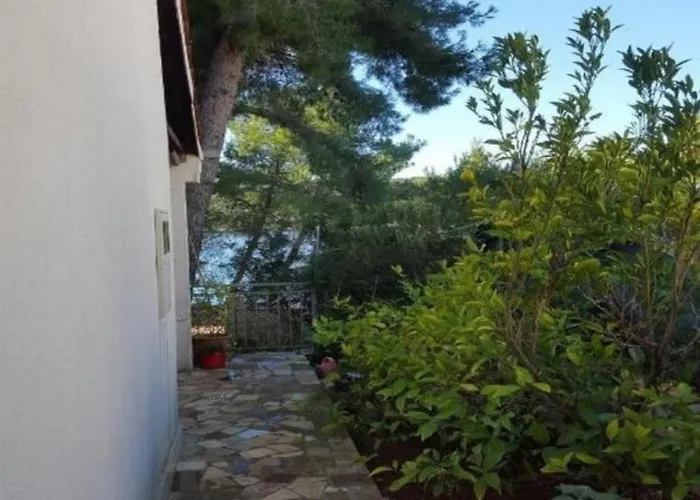 Prázdninový dům House *